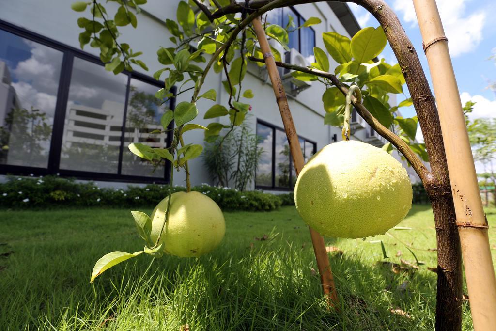 S Ratchada Leisure Hotel - Sha Plus Banguecoque Exterior foto Citrus ×sinensis